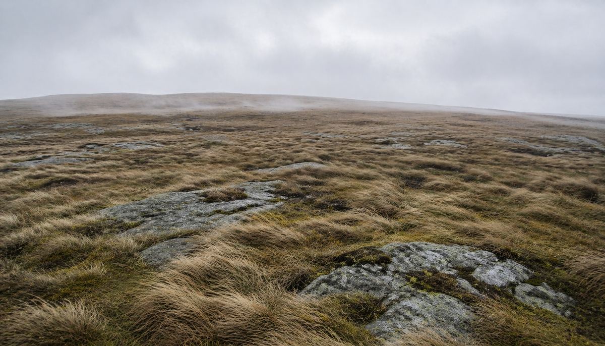 The wind-scoured summit plateau of Fitful Head, rough grass and scattered natural stones beneath an overcast Shetland sky — the high place where the Clan of the Green Dragon once lived.